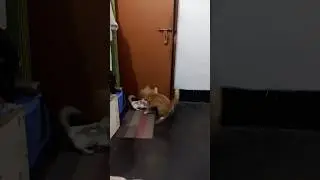so teach 2