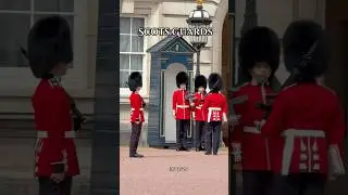 Sentry duties&mdash; Scots Guards 🏴󠁧󠁢󠁳󠁣󠁴󠁿 #kingsguard #scotsguards #buckinghampalace #london