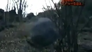 藤岡弘探検隊名場面集