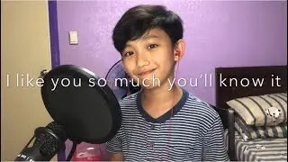 I like you so much you&rsquo;ll know it // Cover