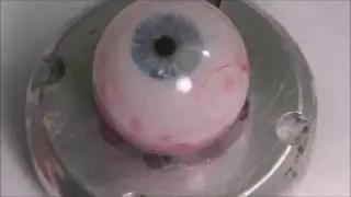 eye decal test