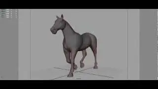 hourse walk