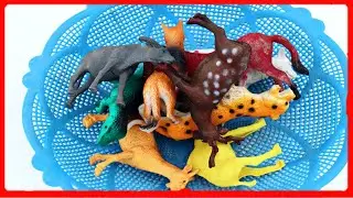 Plastic animals||Learn plastic animal names||plastic animal shapes||lion, buffalo, cheetah, goat
