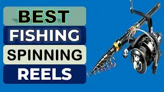 Top 5 Best Fishing Spinning Reels in 2026 | From Aliexpress
