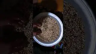 Xoʻrozlarga yemish tayyorlash. telegramga oʻtilar yangi jang bor!