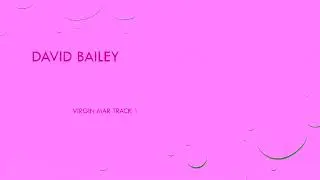 Virgin Mary David Bailey Track 1