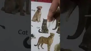 Animals Name easily learn for small baby. Animals ke Naam bacchon ko Masti ke saath sikhayen.