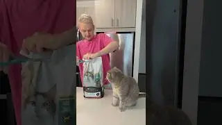 Let&rsquo;s try cat food 😱 Minnie don&rsquo;t like that 😬