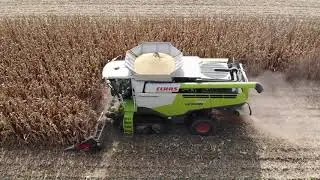 DOMINONI ROCK CLAAS LEXION 780