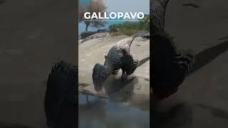 Deinonychus skins - animal inspo! 🦃 #shorts