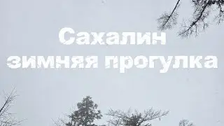 Зимняя прогулочка. 