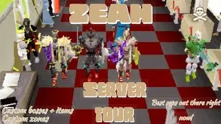 ZEAH! | best rsps out there right now | Server tour/ starter tips |