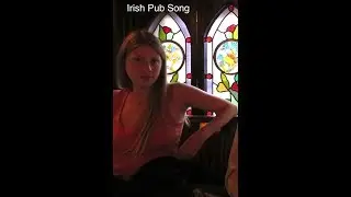 Irish Pub Song (Cover)