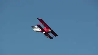 Hanger 9 Fokker D 7 1/4 Scale  Electric