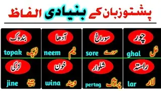 Most important vocabulary words || words meaning in pashto to urdu with their sentences