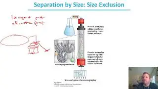 Chapter 3 - pt5: Protein Separation Techniques