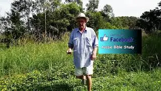 The Sabbath Was Made For Man  -  Mark 2 C