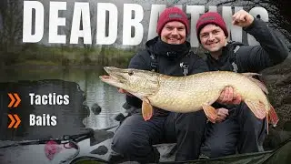 Deadbait vom Ufer - Welche Taktik bringt den Meterhecht?