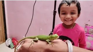 Parmar pats vlog part 03 iguana🦎shading per aaya Hai 😍