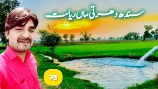 Sindh Dharti Maa State Survey Shandaar View During Travelling #village