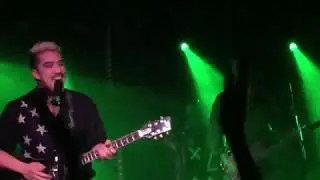 Polish Club - Clarity
