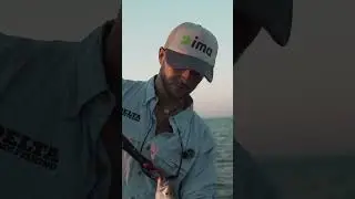 ANJOVA pescada con JERKBAIT