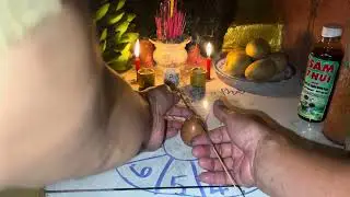 mieu nhỏ ta den28/1/2026