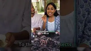 Why We Pray Before Eating