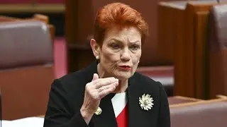 'Unofficial opposition': One Nation ramps up recruitment ahead of ‘significant’ announcement