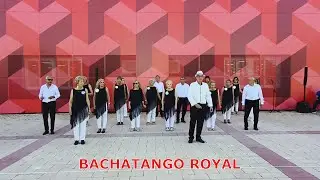 BACHATANGO ROYAL-Baile en linea