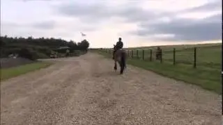 Olivia af Enghavegaard   15 09 2014