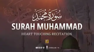 Most beautiful recitation of Surah Muhammad in the World سورة محمد | Zikrullah TV