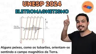 UNESP 2024 - Alguns peixes, como os tubarões, orientam-se sentindo o campo magnético da Terra.