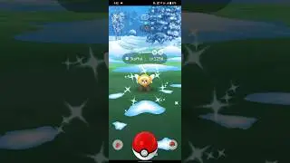✨Shundo💯Stufful🐻✨☺️#decembercommunityday #pokemongo #stufful #shiny #shundopokemon #pokemon #100iv