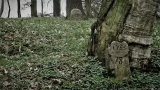 KAMIENIE GRANICZNE 1755 SAALECK
