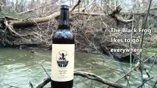 Black Frog Brewery's 