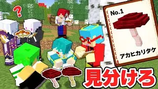 【いんくコラボ】毒キノコを見破れ！キノコ狩りPVP🍄【マイクラ・マインクラフト】