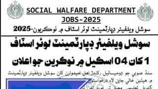 Social Welfare Department Jobs 2025 😱 | 04 Scale Govt Jobs | Apply Before 26 December | Full Details