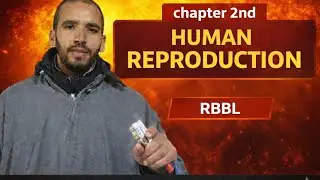 Human Male Reproductive System | From Testis to Penis | Full Concept NEET/12TH/CUET