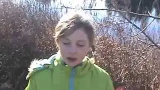 Oregon Spotted Frogs for All