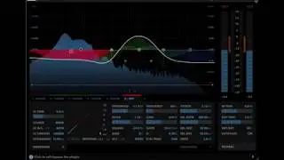 DMGAudio Multiplicity: Dynamics and Transients