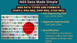 Master NGS Formats: FASTQ, FASTA, SAM, BAM, BED & Count Matrix
