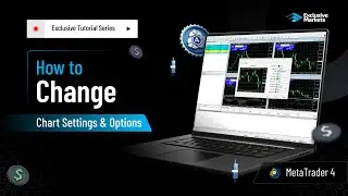 How to Change Chart in MetaTrader 4 (MT4) | Chart Settings in MT4 | MT4 Tutorial