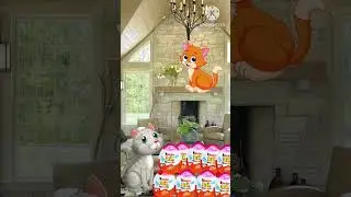 Cat kindajoy and short cat VFX artist