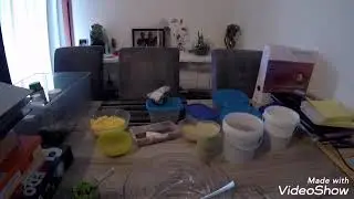 Ma pâté maison pour mes oiseau