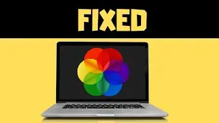 [SOLVED] FIX Lively Wallpaper App not Working or Opening in Windows 11