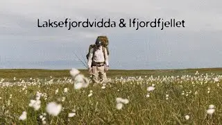 Laksefjordvidda & Ifjordfjellet  - Fangede røyer  - [5/7]