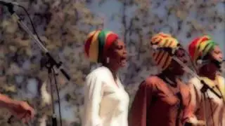 I Threes - precious world