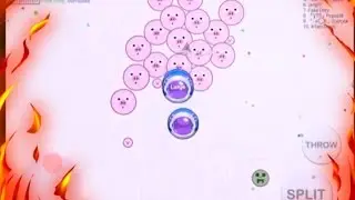 1v1 with TYT pine, Reverse tricksplits, doublesplits, popsplits and more