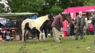 The Spancilhill Horse Fair